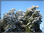 foto Parco Sebellin in Inverno